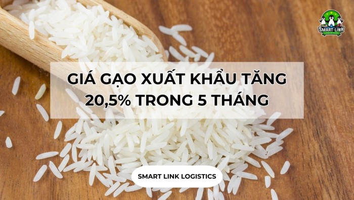 GIÁ GẠO XUẤT KHẨU TĂNG 20,5% TRONG 5 THÁNG