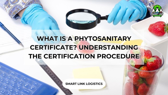 WHAT IS A PHYTOSANITARY CERTIFICATE? UNDERSTANDING THE CERTIFICATION PROCEDURE