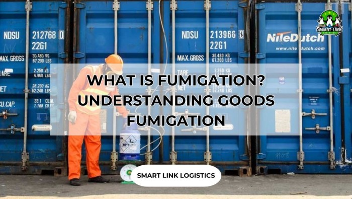 WHAT IS FUMIGATION? UNDERSTANDING GOODS FUMIGATION