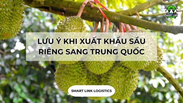 LƯU Ý KHI XUẤT KHẨU SẦU RIÊNG SANG TRUNG QUỐC