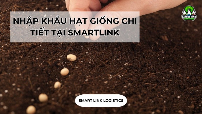 NHẬP KHẨU HẠT GIỐNG CHI TIẾT TẠI SMARTLINK