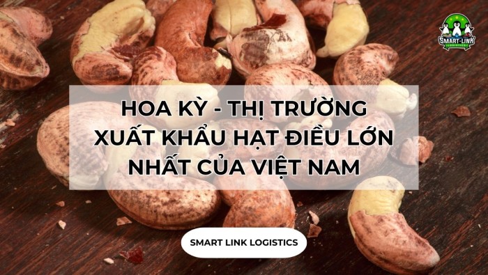 HOA KỲ – THỊ TRƯỜNG XUẤT KHẨU HẠT ĐIỀU LỚN NHẤT CỦA VIỆT NAM