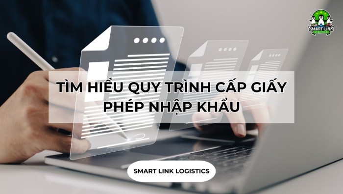 TÌM HIỂU QUY TRÌNH CẤP GIẤY PHÉP NHẬP KHẨU