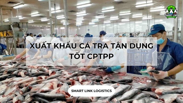 XUẤT KHẨU CÁ TRA TẬN DỤNG TỐT CPTPP