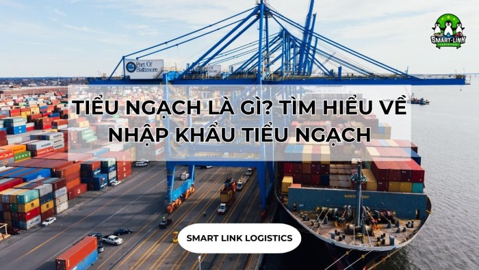 TIỂU NGẠCH LÀ GÌ? TÌM HIỂU VỀ NHẬP KHẨU TIỂU NGẠCH