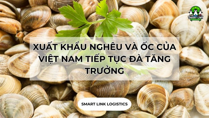 XUẤT KHẨU NGHÊU VÀ ỐC CỦA VIỆT NAM TIẾP TỤC ĐÀ TĂNG TRƯỞNG