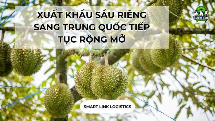 XUẤT KHẨU SẦU RIÊNG SANG TRUNG QUỐC TIẾP TỤC RỘNG MỞ