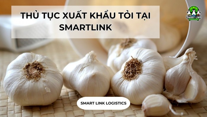 THỦ TỤC XUẤT KHẨU TỎI TẠI SMARTLINK