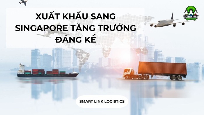 XUẤT KHẨU SANG SINGAPORE TĂNG TRƯỞNG ĐÁNG KỂ