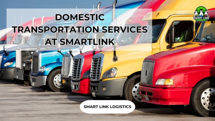 DOMESTIC TRANSPORTATION SERVICES AT SMARTLINK