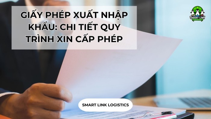 GIẤY PHÉP XUẤT NHẬP KHẨU: CHI TIẾT QUY TRÌNH XIN CẤP PHÉP