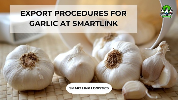 EXPORT PROCEDURES FOR GARLIC AT SMARTLINK