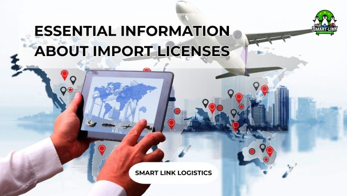 ESSENTIAL INFORMATION ABOUT IMPORT LICENSES