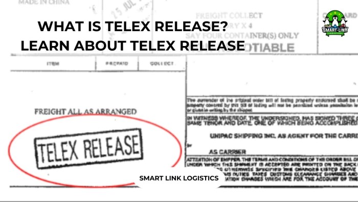 WHAT IS TELEX RELEASE? LEARN ABOUT TELEX RELEASE