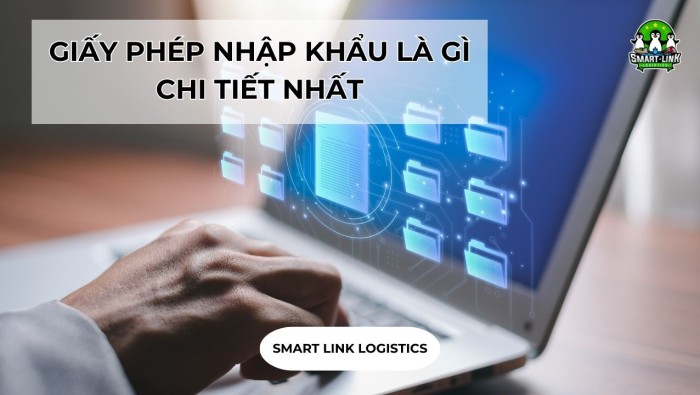 GIẤY PHÉP NHẬP KHẨU LÀ GÌ CHI TIẾT NHẤT