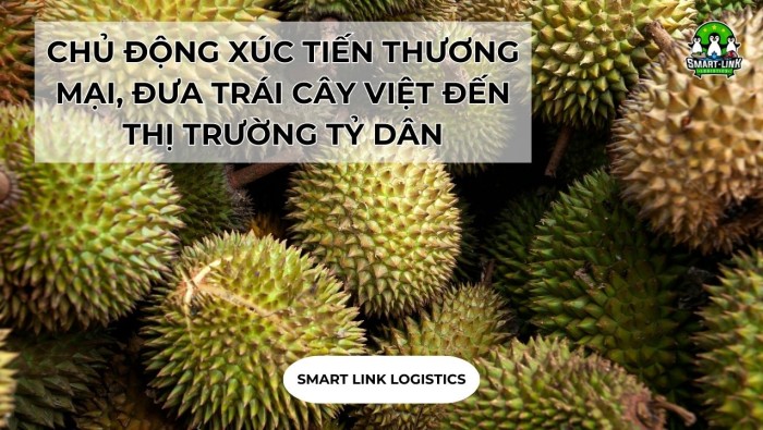 CHỦ ĐỘNG XÚC TIẾN THƯƠNG MẠI, ĐƯA TRÁI CÂY VIỆT ĐẾN THỊ TRƯỜNG TỶ DÂN