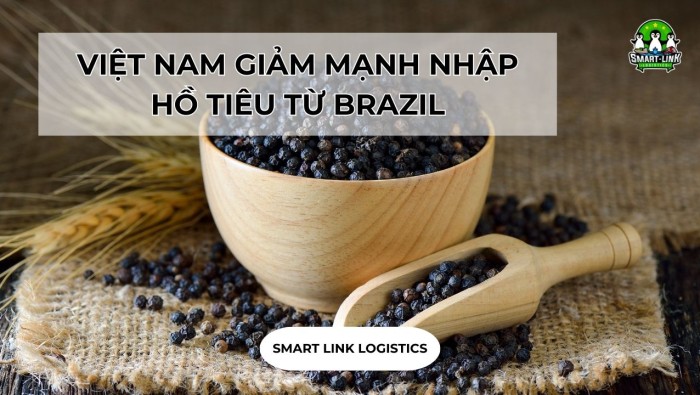 VIỆT NAM GIẢM MẠNH NHẬP HỒ TIÊU TỪ BRAZIL