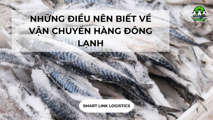 NHỮNG ĐIỀU NÊN BIẾT VỀ VẬN CHUYỂN HÀNG ĐÔNG LẠNH