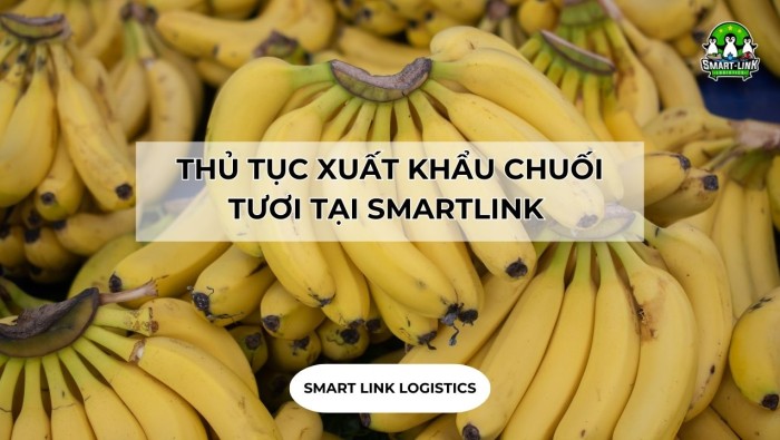 THỦ TỤC XUẤT KHẨU CHUỐI TƯƠI TẠI SMARTLINK 