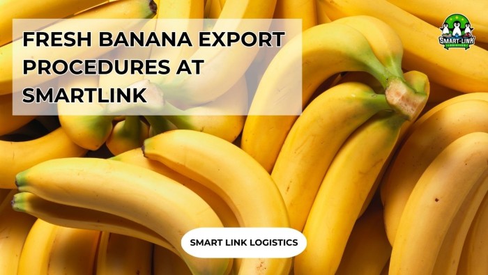 FRESH BANANA EXPORT PROCEDURES AT SMARTLINK