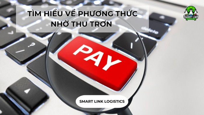 TÌM HIỂU VỀ PHƯƠNG THỨC NHỜ THU TRƠN 