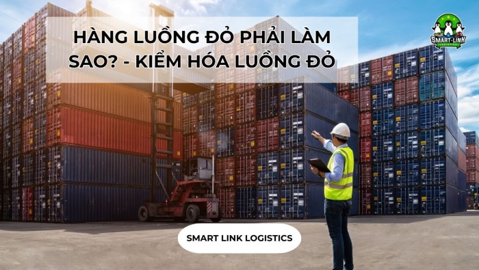 HÀNG LUỒNG ĐỎ PHẢI LÀM SAO? – KIỂM HÓA LUỒNG ĐỎ