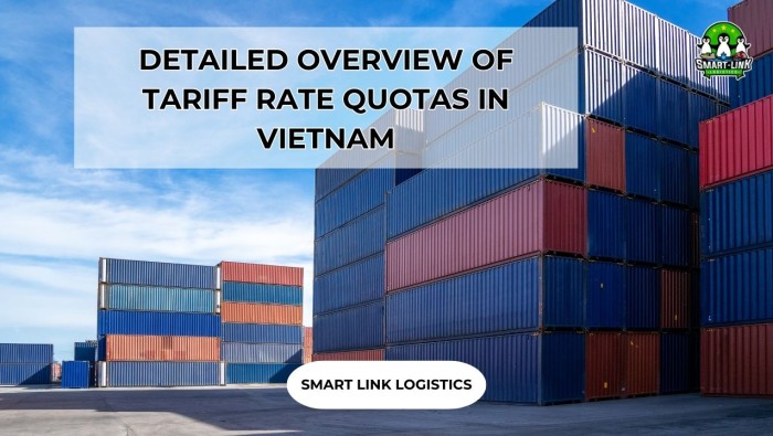 DETAILED OVERVIEW OF TARIFF RATE QUOTAS IN VIETNAM