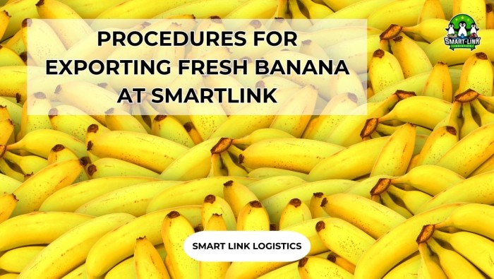 PROCEDURES FOR EXPORTING FRESH BANANA