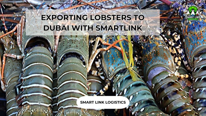 EXPORTING LOBSTERS TO DUBAI WITH SMARTLINK