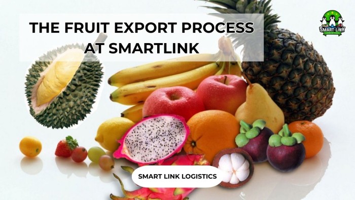 THE FRUIT EXPORT PROCESS AT SMARTLINK