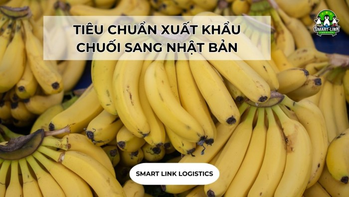 TIÊU CHUẨN XUẤT KHẨU CHUỐI SANG NHẬT BẢN