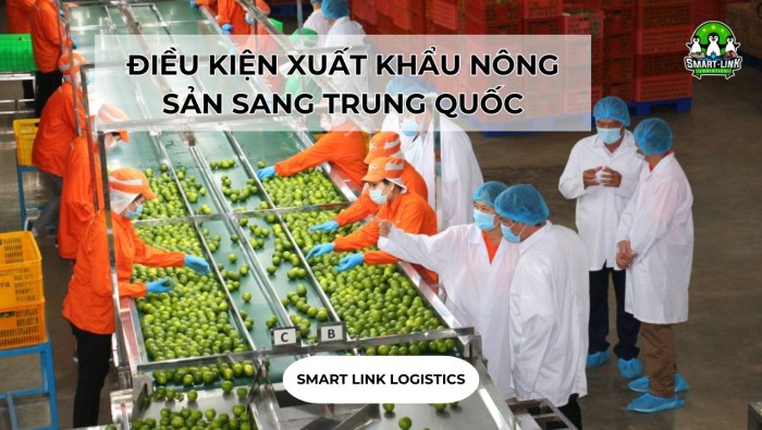 ĐIỀU KIỆN XUẤT KHẨU NÔNG SẢN SANG TRUNG QUỐC