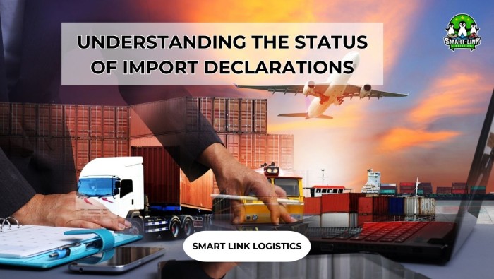 UNDERSTANDING THE STATUS OF IMPORT DECLARATIONS