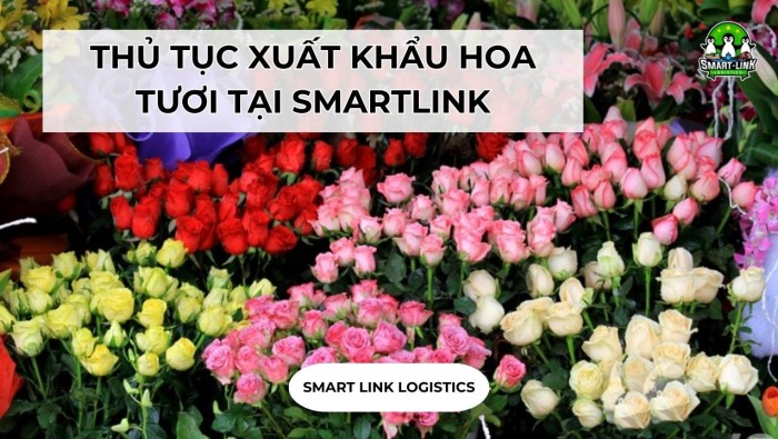 THỦ TỤC XUẤT KHẨU HOA TƯƠI TẠI SMARTLINK