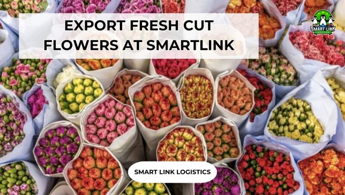 EXPORT FRESH CUT FLOWERS AT SMARTLINK