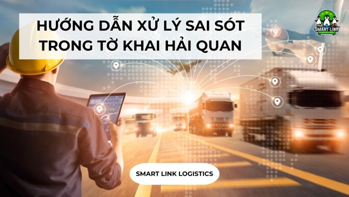 HƯỚNG DẪN XỬ LÝ SAI SÓT TRONG TỜ KHAI HẢI QUAN