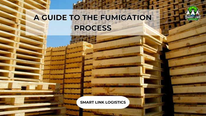 A GUIDE TO THE FUMIGATION PROCESS