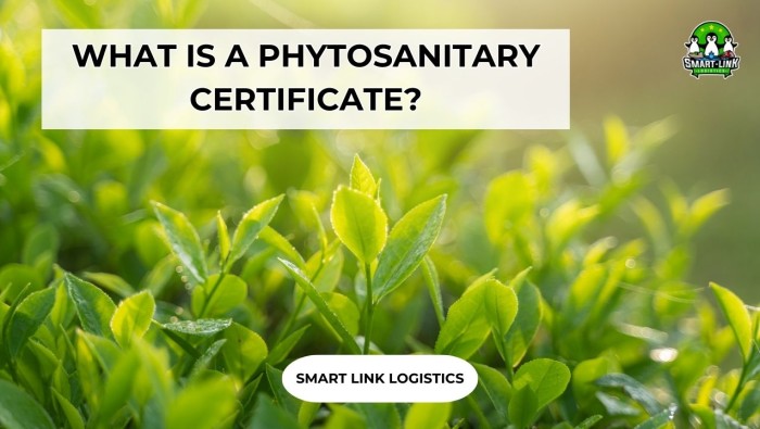 WHAT IS A PHYTOSANITARY CERTIFICATE?