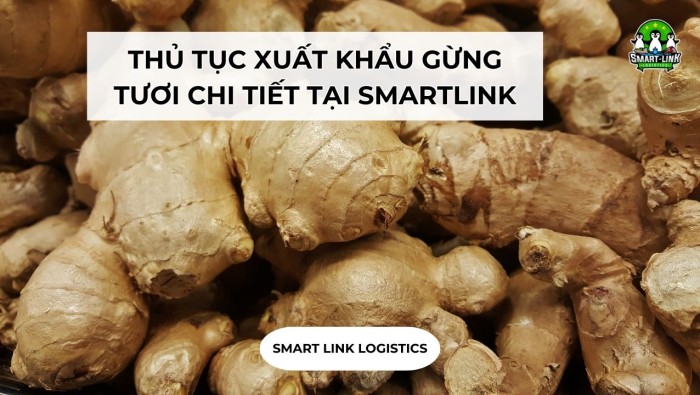 THỦ TỤC XUẤT KHẨU GỪNG TƯƠI CHI TIẾT TẠI SMARTLINK