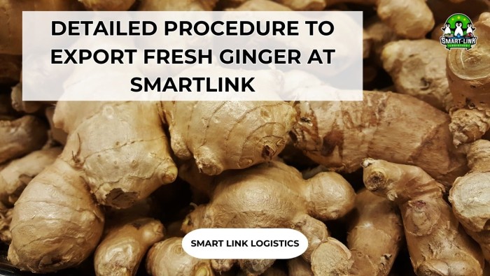 DETAILED PROCEDURE TO EXPORT FRESH GINGER AT SMARTLINK