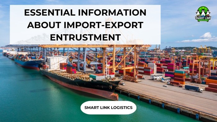 ESSENTIAL INFORMATION ABOUT IMPORT-EXPORT ENTRUSTMENT