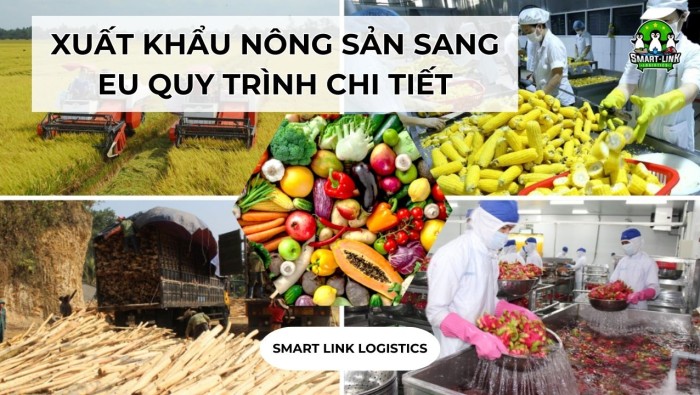 XUẤT KHẨU NÔNG SẢN SANG EU QUY TRÌNH CHI TIẾT