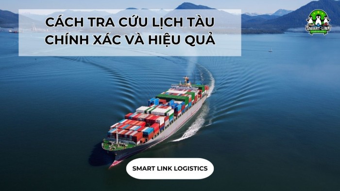 CÁCH TRA CỨU LỊCH TÀU CHÍNH XÁC VÀ HIỆU QUẢ NHẤT