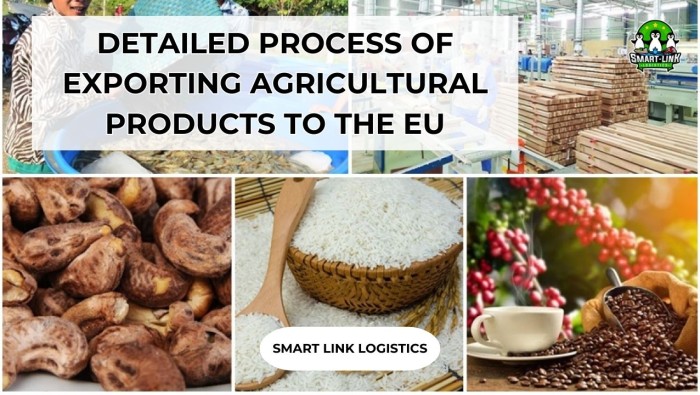 DETAILED PROCESS OF EXPORTING AGRICULTURAL PRODUCTS TO THE EU