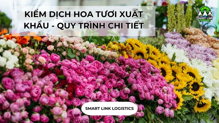 KIỂM DỊCH HOA TƯƠI XUẤT KHẨU – QUY TRÌNH CHI TIẾT