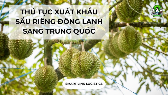 THỦ TỤC XUẤT KHẨU SẦU RIÊNG ĐÔNG LẠNH SANG TRUNG QUỐC