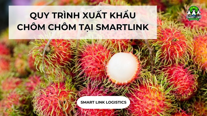 QUY TRÌNH XUẤT KHẨU CHÔM CHÔM TẠI SMARTLINK