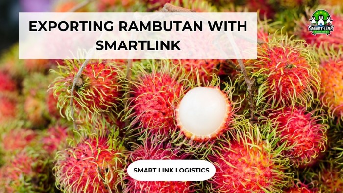 EXPORTING RAMBUTAN WITH SMARTLINK: A COMPLETE GUIDE