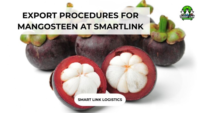 EXPORT PROCEDURES FOR MANGOSTEEN AT SMARTLINK
