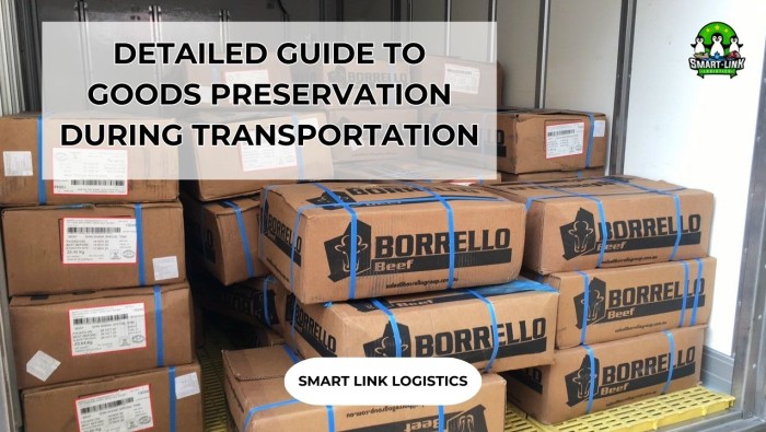 DETAILED GUIDE TO GOODS PRESERVATION DURING TRANSPORTATION
